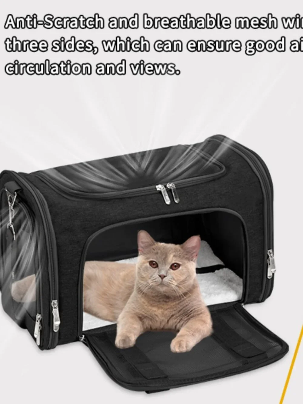 Foldable Soft-sided Airline Compliant Pet Travel Carrier NEW